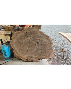 Walnut burl