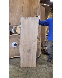 Big Leaf Maple 