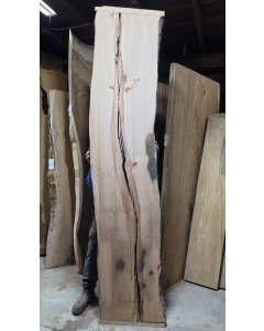 Madrone 