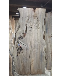 Bastogne Walnut