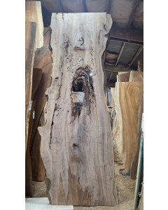 Bastogne Walnut