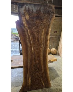 Black Walnut