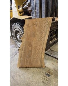 Black Walnut 