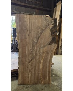 Black Walnut 