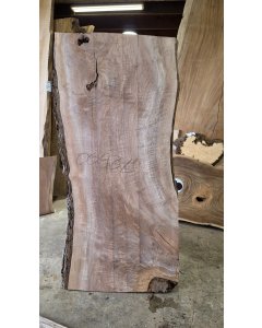 Black Walnut