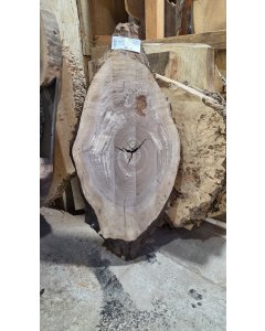 Black Walnut