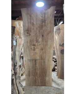 Black Walnut 
