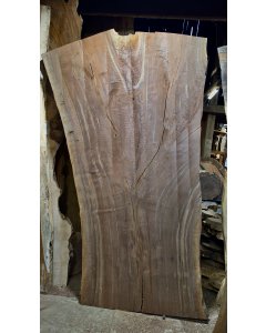 Black Walnut