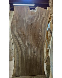Black Walnut
