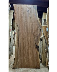 Black Walnut 