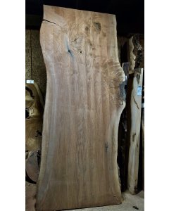 Black Walnut 