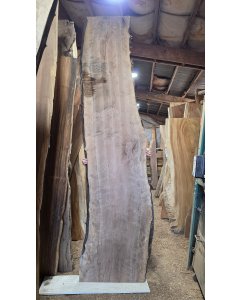 Black Walnut