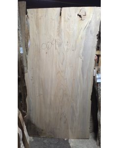 Chestnut