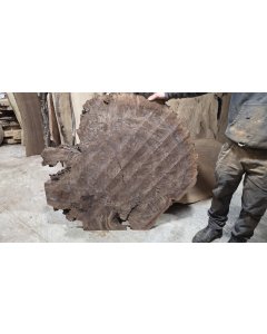 Walnut Burl 