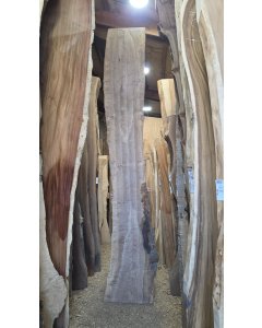 Bastogne Walnut