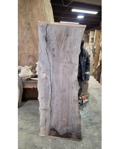 Black Walnut