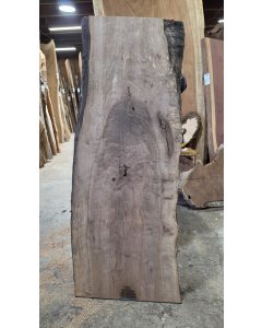 Black Walnut