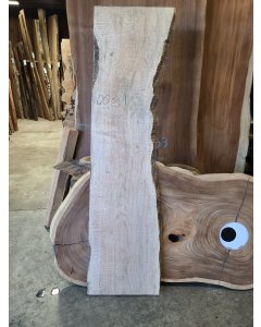 Big Leaf Maple 