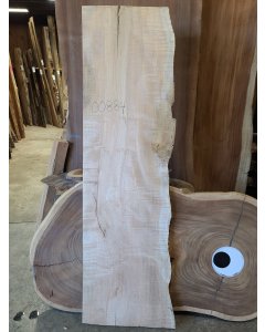 Big Leaf Maple 