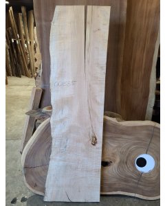 Big Leaf Maple