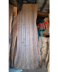 Black Walnut 