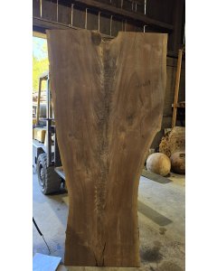 Black Walnut
