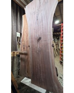 Black Walnut 