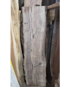 Black Walnut