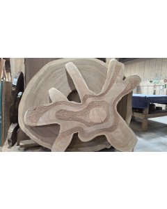 Tropical Cedar